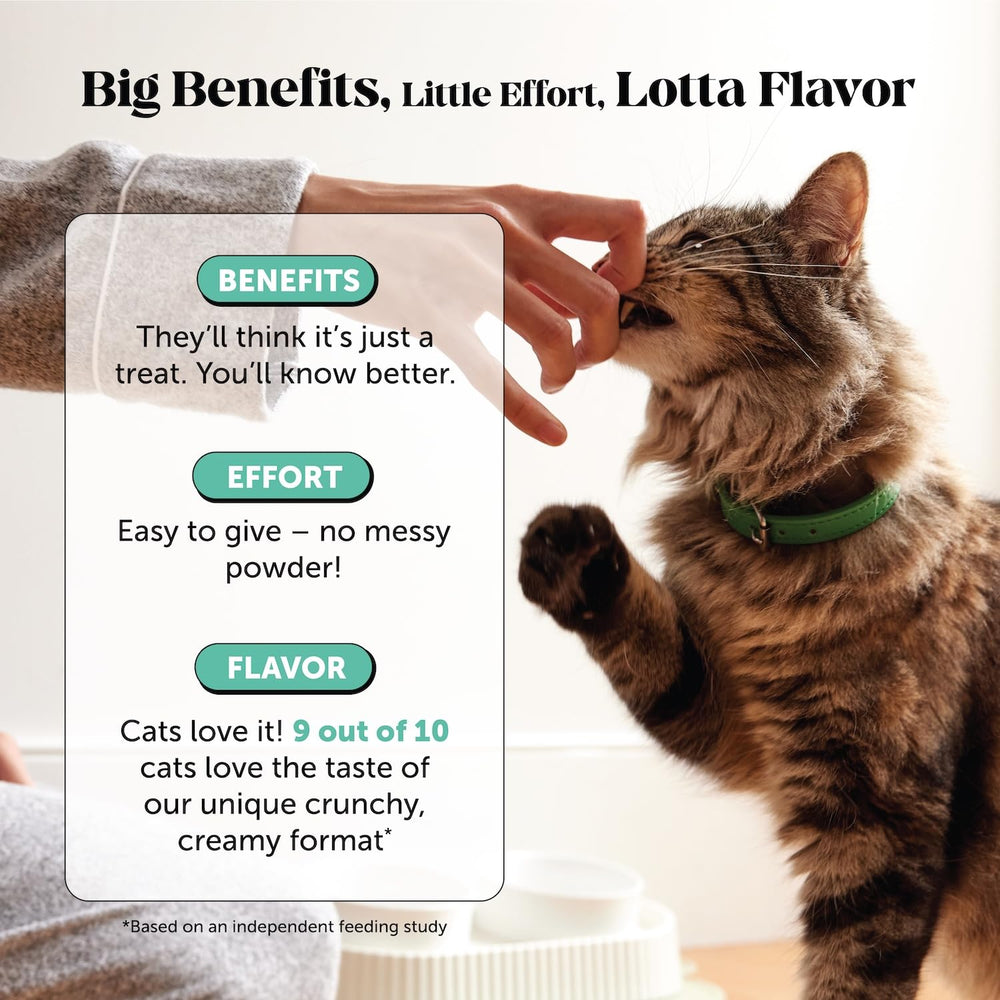 Pet Honesty etiqueta de ingredientes destacando postbióticos y kelp