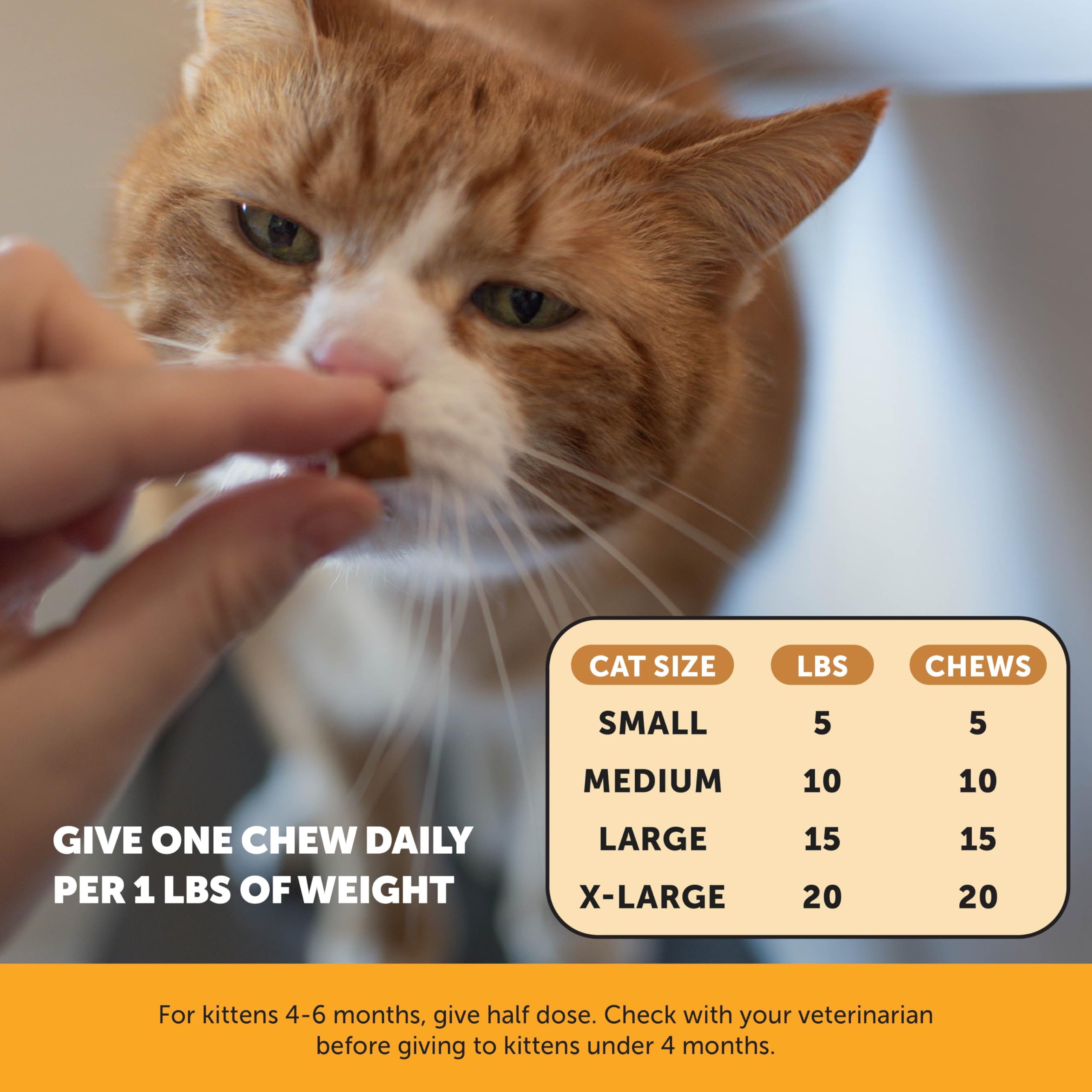 Pet Honesty gato disfrutando del suplemento como premio sabroso