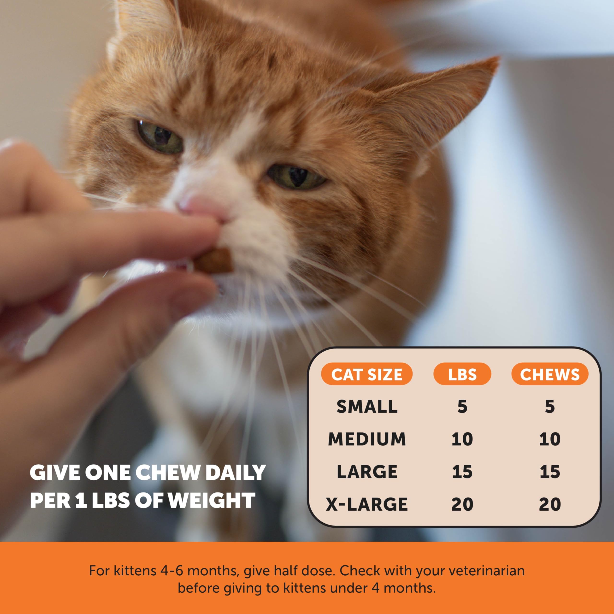 Pet Honesty mejillón de labio verde como fuente natural de apoyo