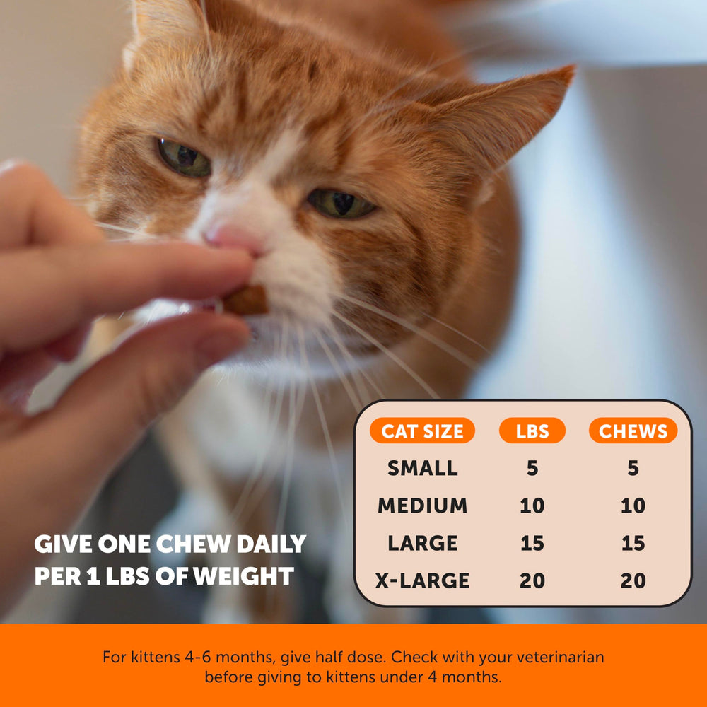 Pet Honesty mejillón de labio verde como fuente natural de apoyo