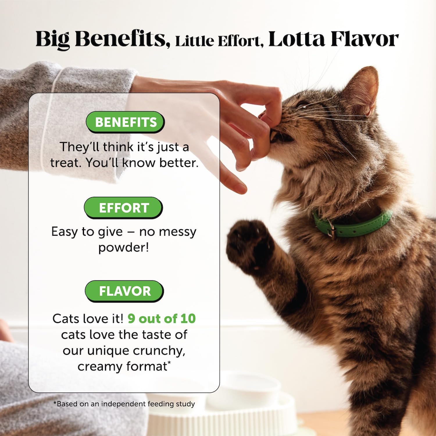 Pet Honesty ingredientes claves: aceite de pescado y psyllium para pelaje y digestión