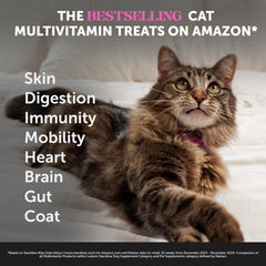 Pet Honesty corte que muestra núcleo cremoso preservando nutrientes