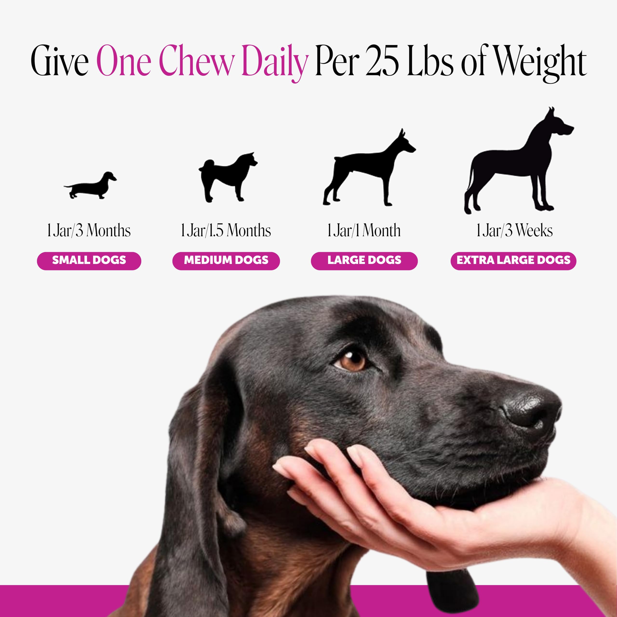 Pet Honesty cápsulas con omega‑3 y vitamina E para piel y pelaje sano