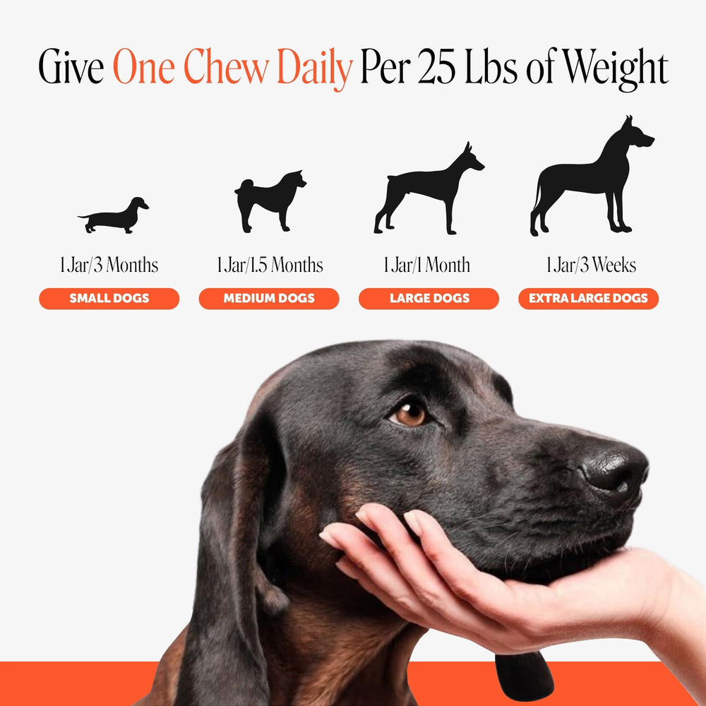 Pet Honesty envase con símbolo de plástico reciclado y responsabilidad