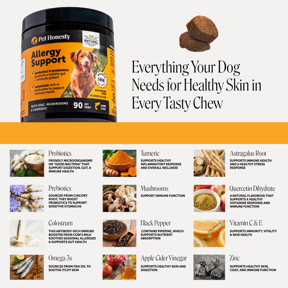Pet Honesty perro comiendo la masticable, favorece aceptación y cumplimiento diario
