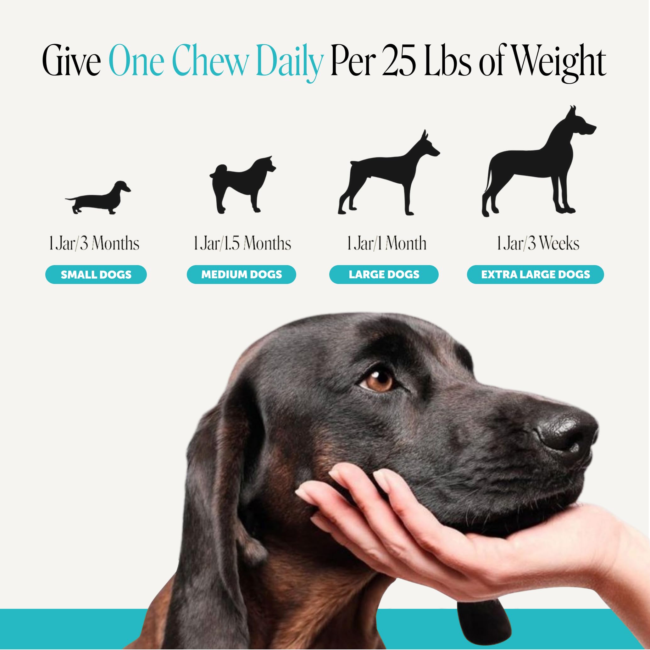 Pet Honesty perro disfrutando una chuche, mejora comportamiento en estrés