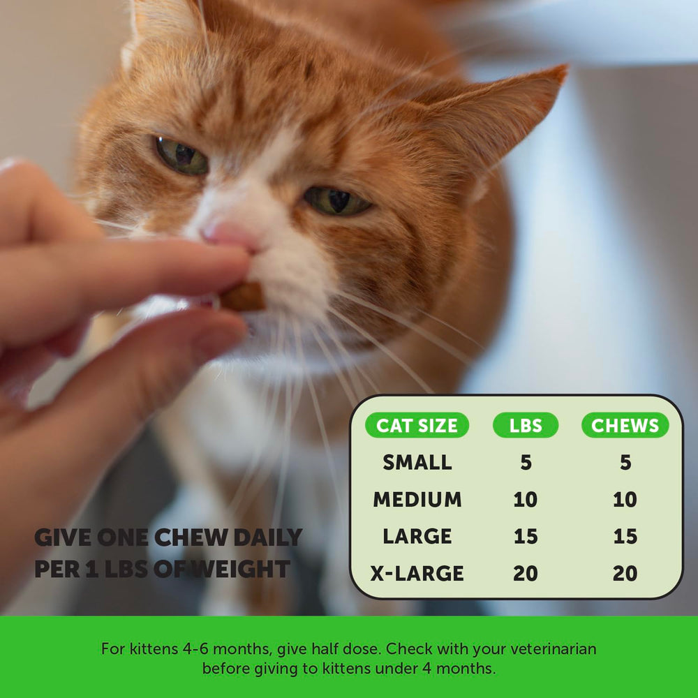 Pet Honesty paquete junto a varios comederos, ideal para hogares con múltiples gatos