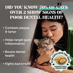 Pet Honesty relleno cremoso interno que atrae al gato con buen sabor