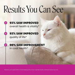 Pet Honesty primer plano de la capa crujiente que mejora la aceptación