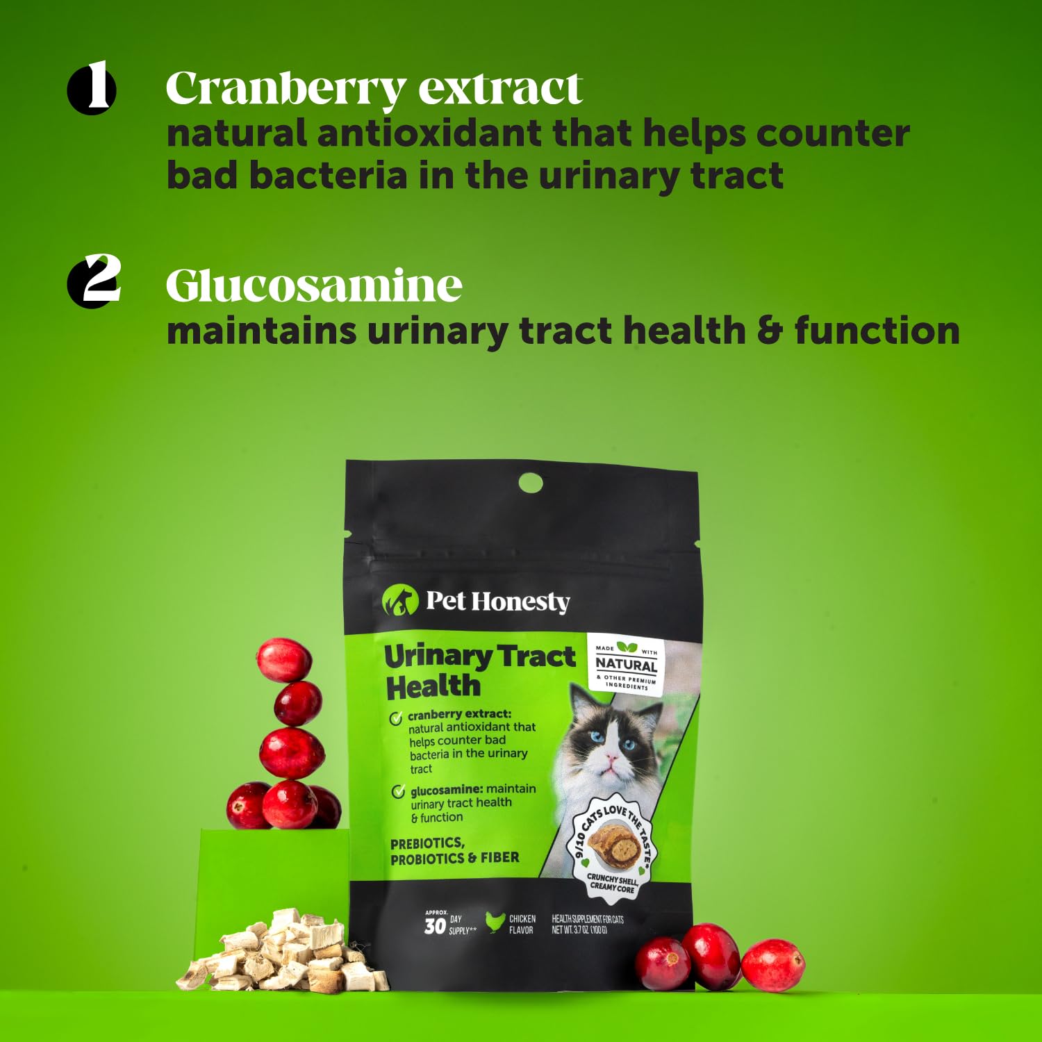 Pet Honesty masticable en mano para comparar tamaño y dosis fácil