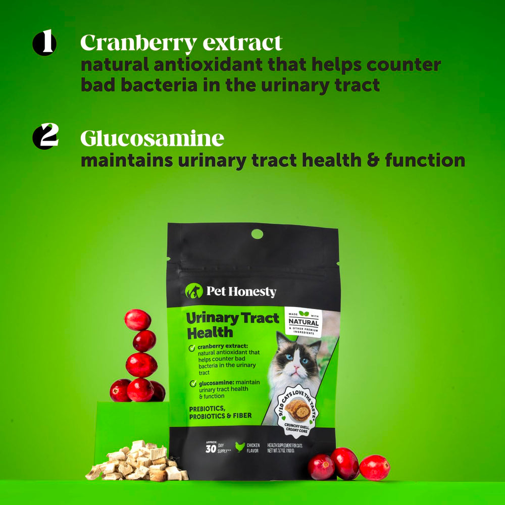 Pet Honesty masticable en mano para comparar tamaño y dosis fácil