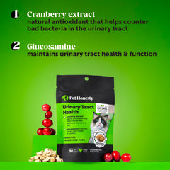 Pet Honesty masticable en mano para comparar tamaño y dosis fácil