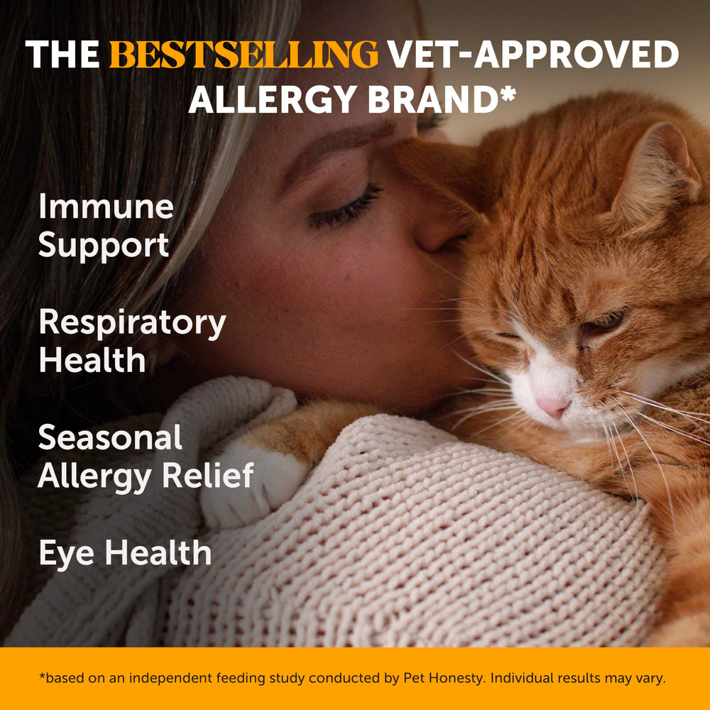 Pet Honesty primer plano textura crujiente-cremosa y apetecible