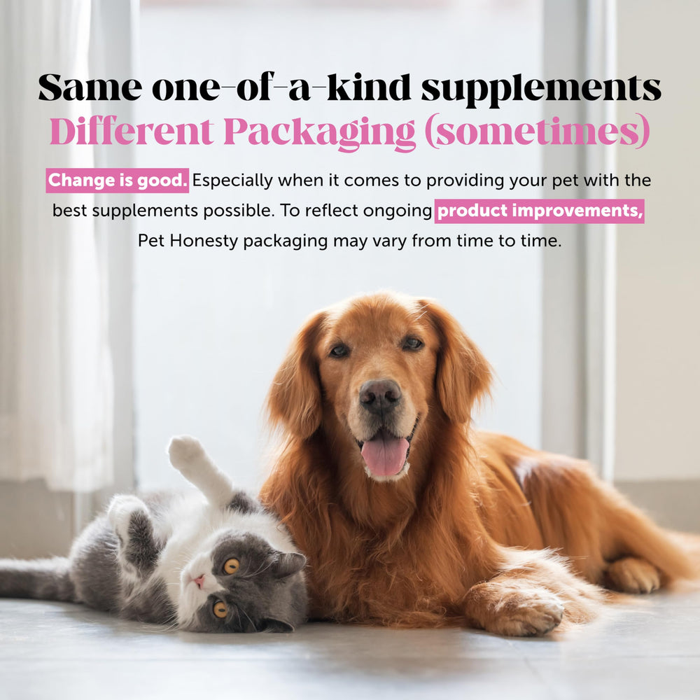 Pet Honesty envase portátil para uso después de paseos al aire libre