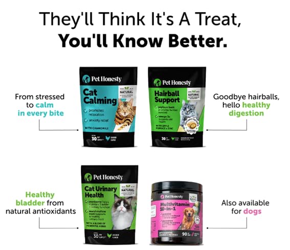 Pet Honesty uso en comedero integrando suplemento a la comida
