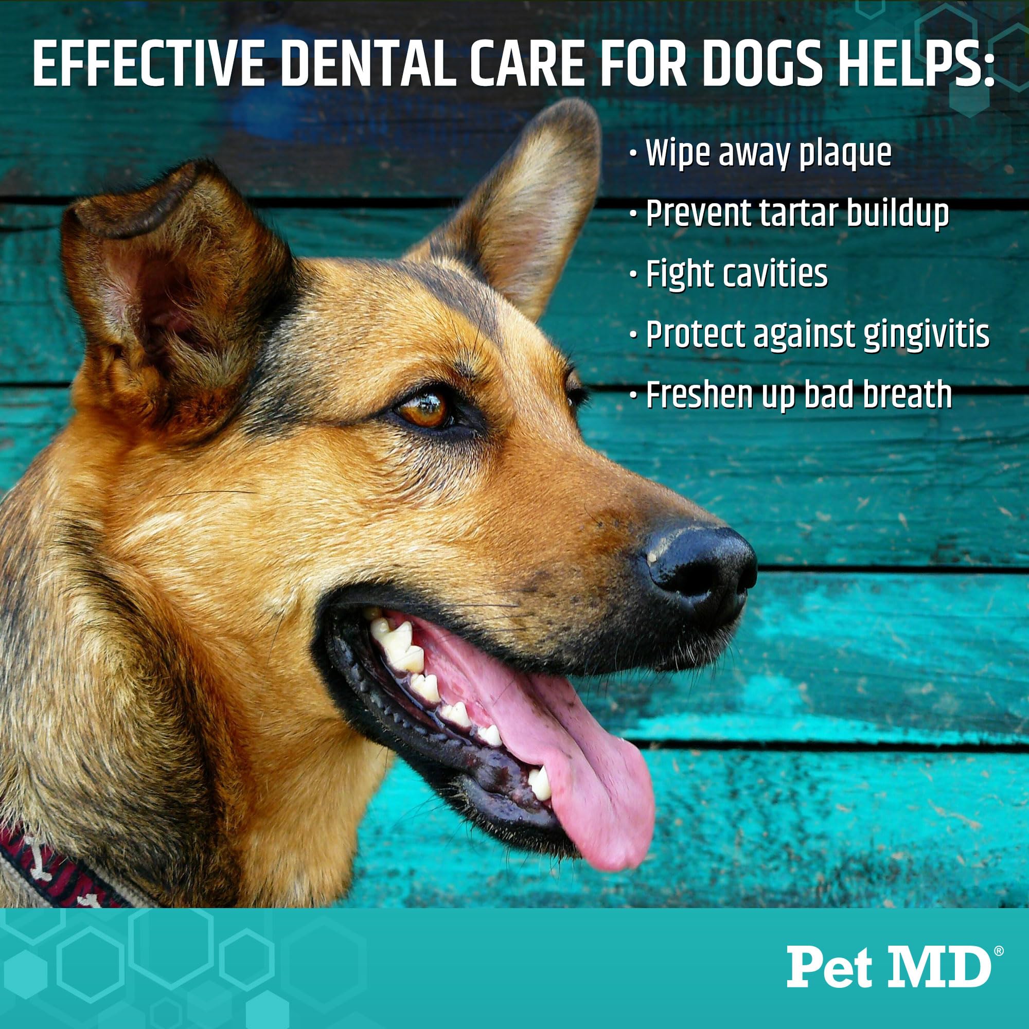 Pet MD perro recibiendo limpieza dental con toallita para aliento fresco
