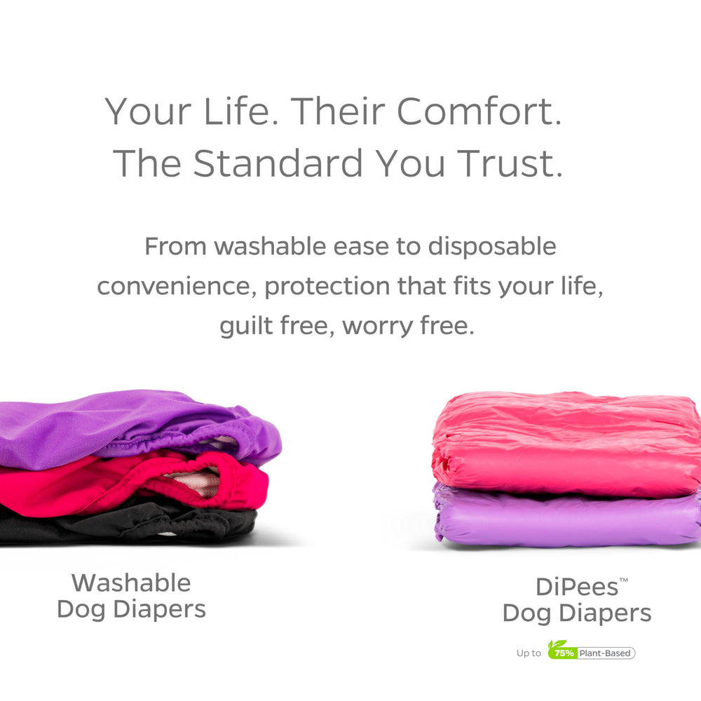 Pet Parents ambiente hogareño con perro tranquilo y muebles protegidos
