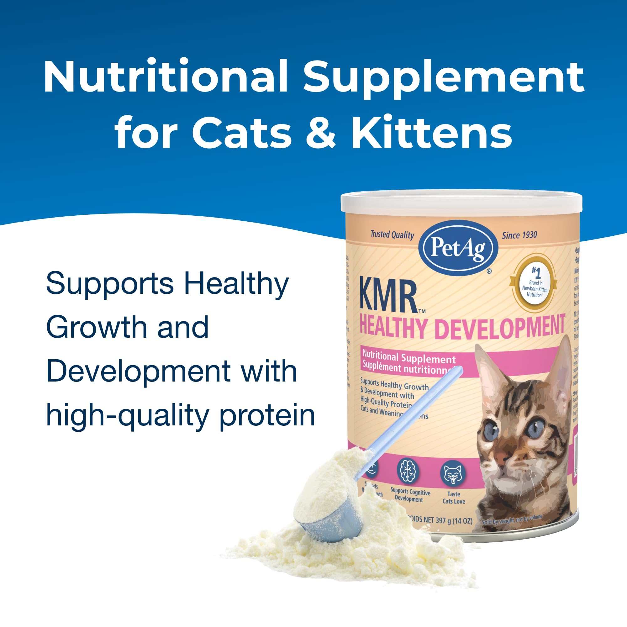 PetAg KMR en tazón y gatito comiendo, facilitando transición al sólido