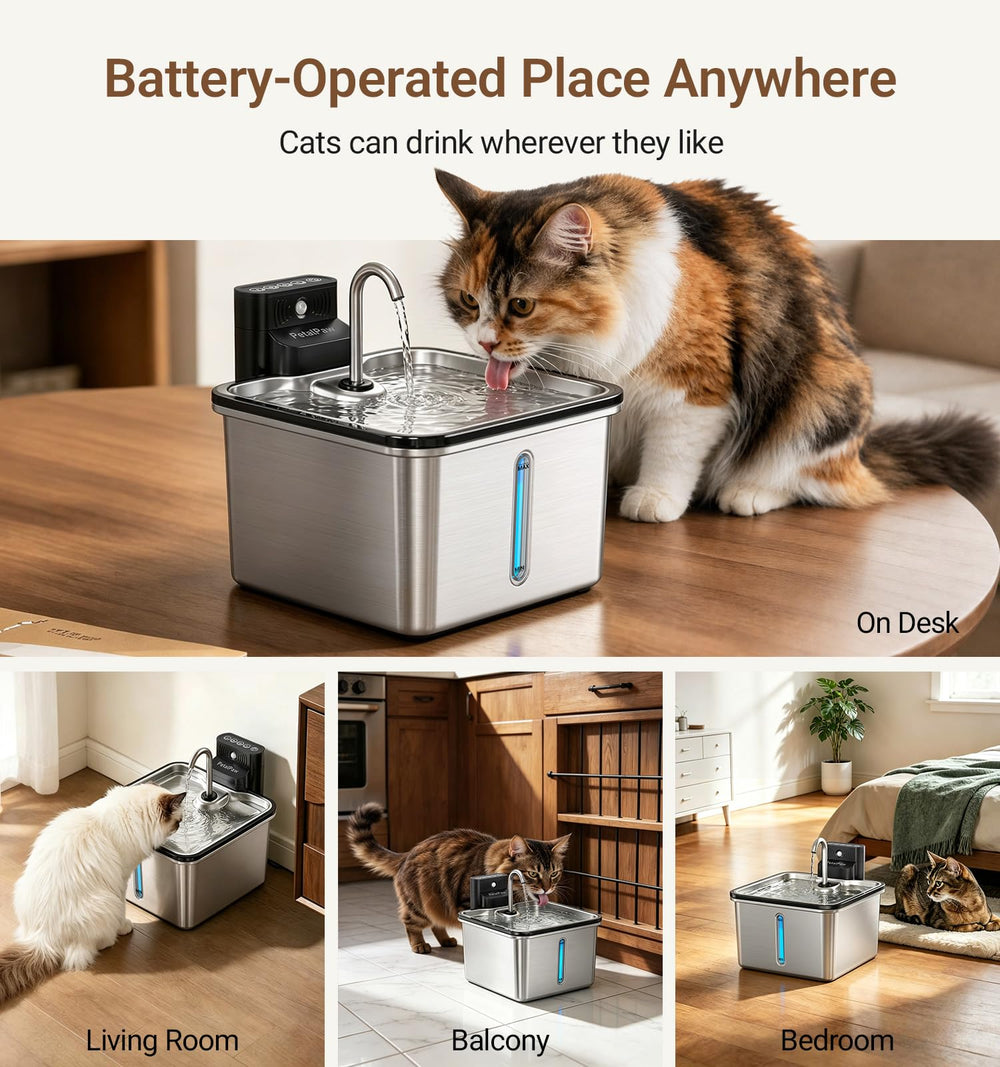 PETALPAW faucet flow mode demonstrating steady stream encourages cat drinking