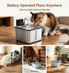 PETALPAW faucet flow mode demonstrating steady stream encourages cat drinking
