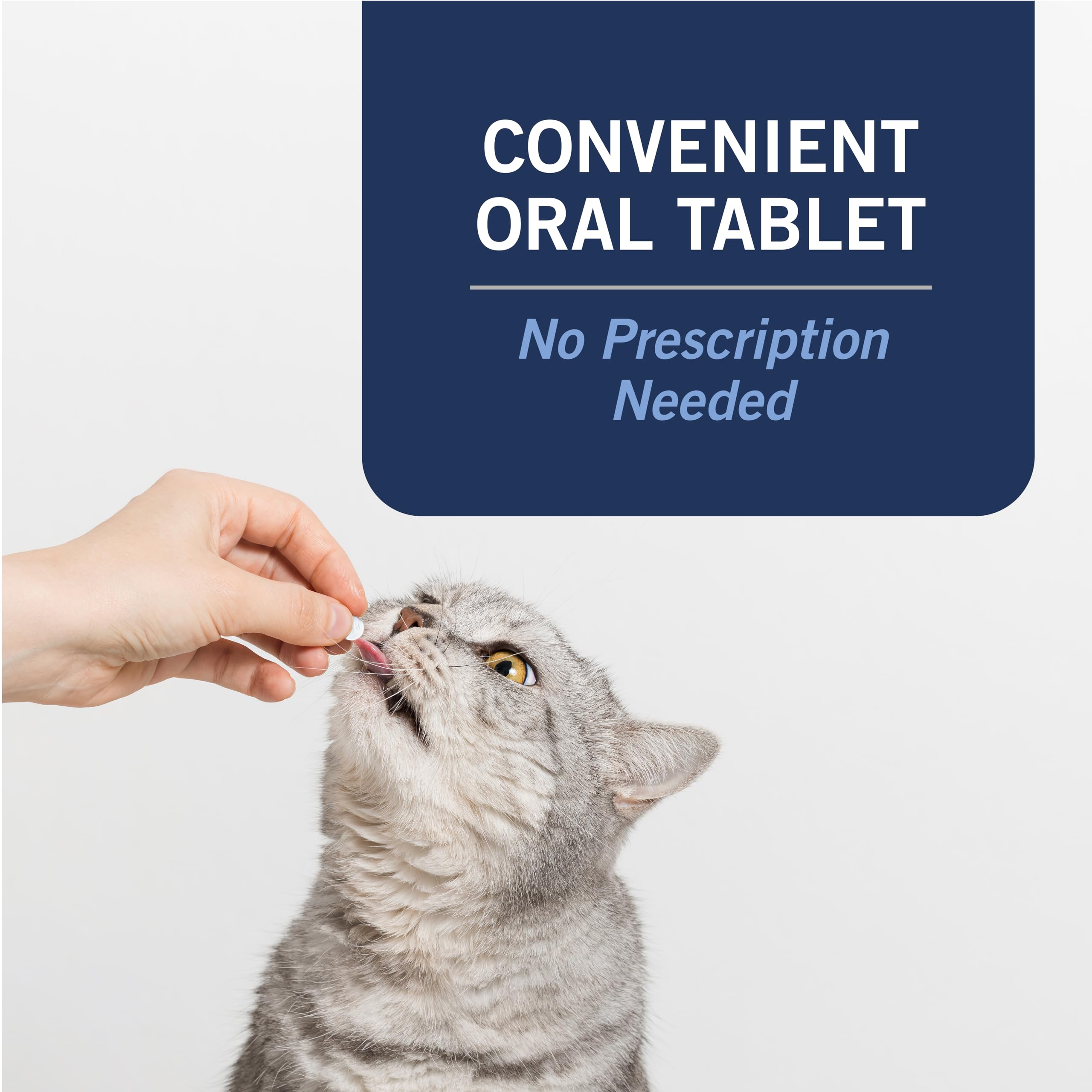 PetArmor CAPACTION comparación de tamaño de tabletas práctica