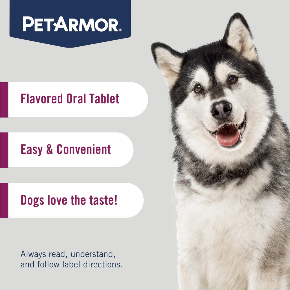 PetArmor mano ofreciendo tableta masticable que facilita la dosificación