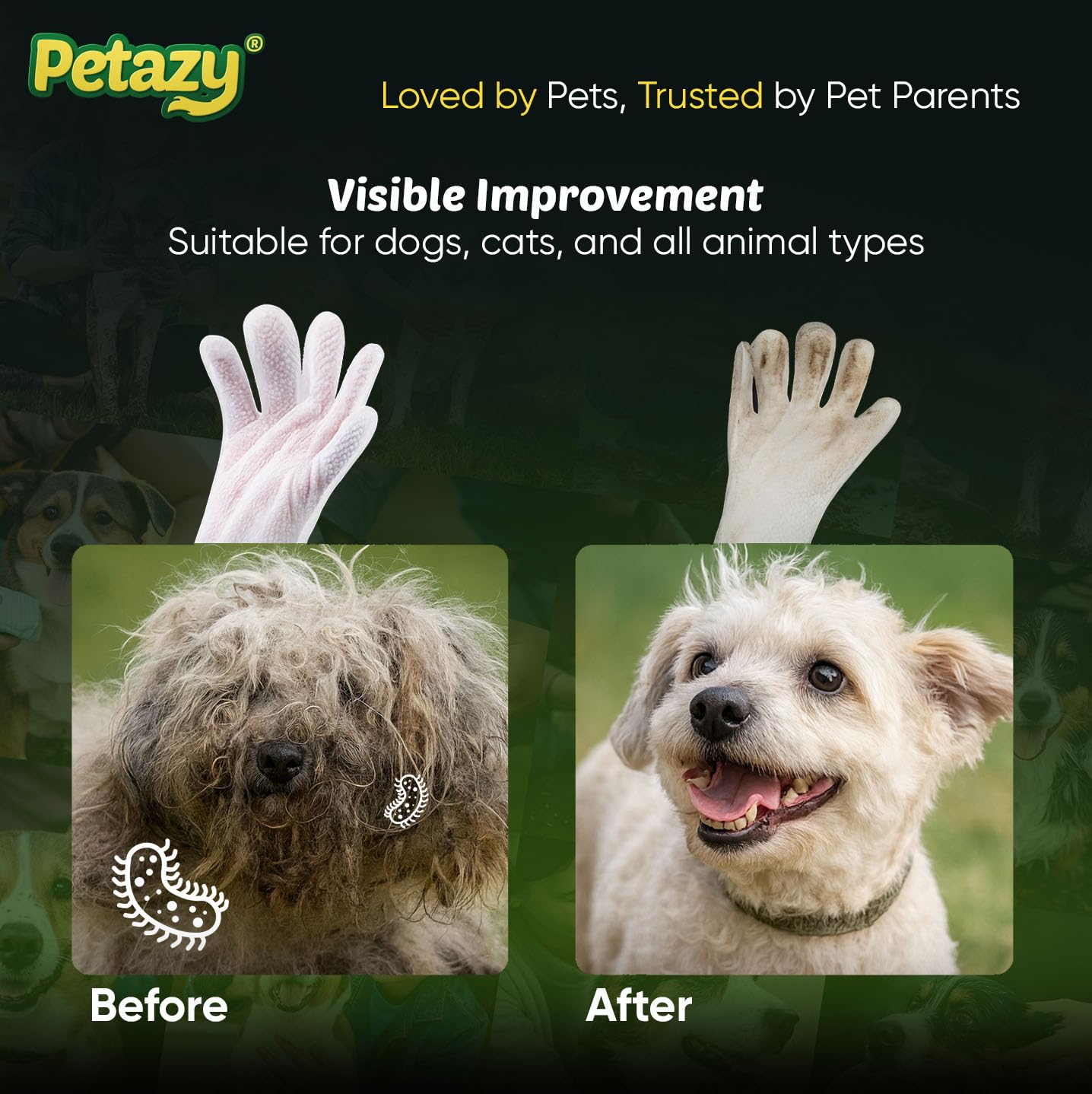 Petazy pack abierto con tapa y sello doble, conserva humedad