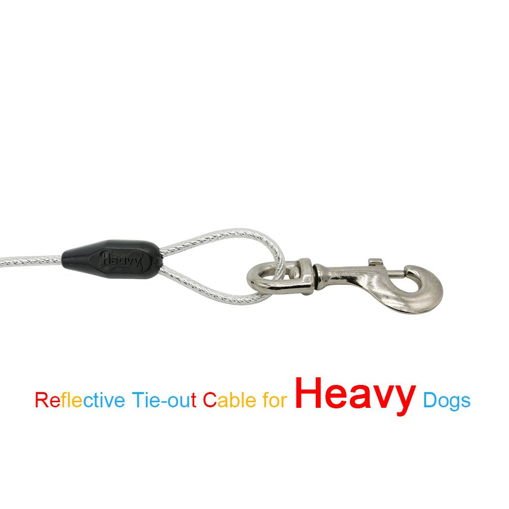 Petest cable en uso con perro grande en patio demostrando libertad