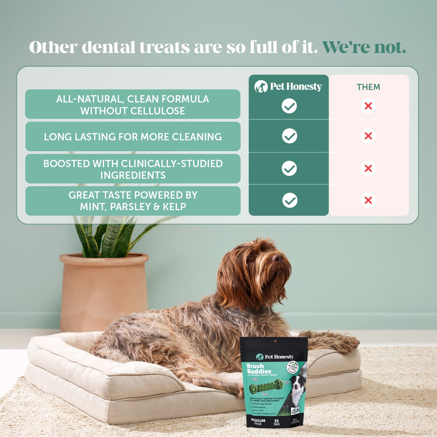 Pet Honesty packaging abierto con chews listos para usar diariamente