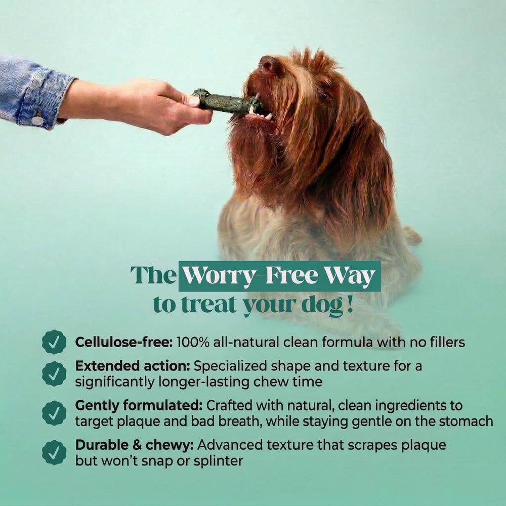 Pet Honesty perro masticando chew en exterior para frescura de aliento
