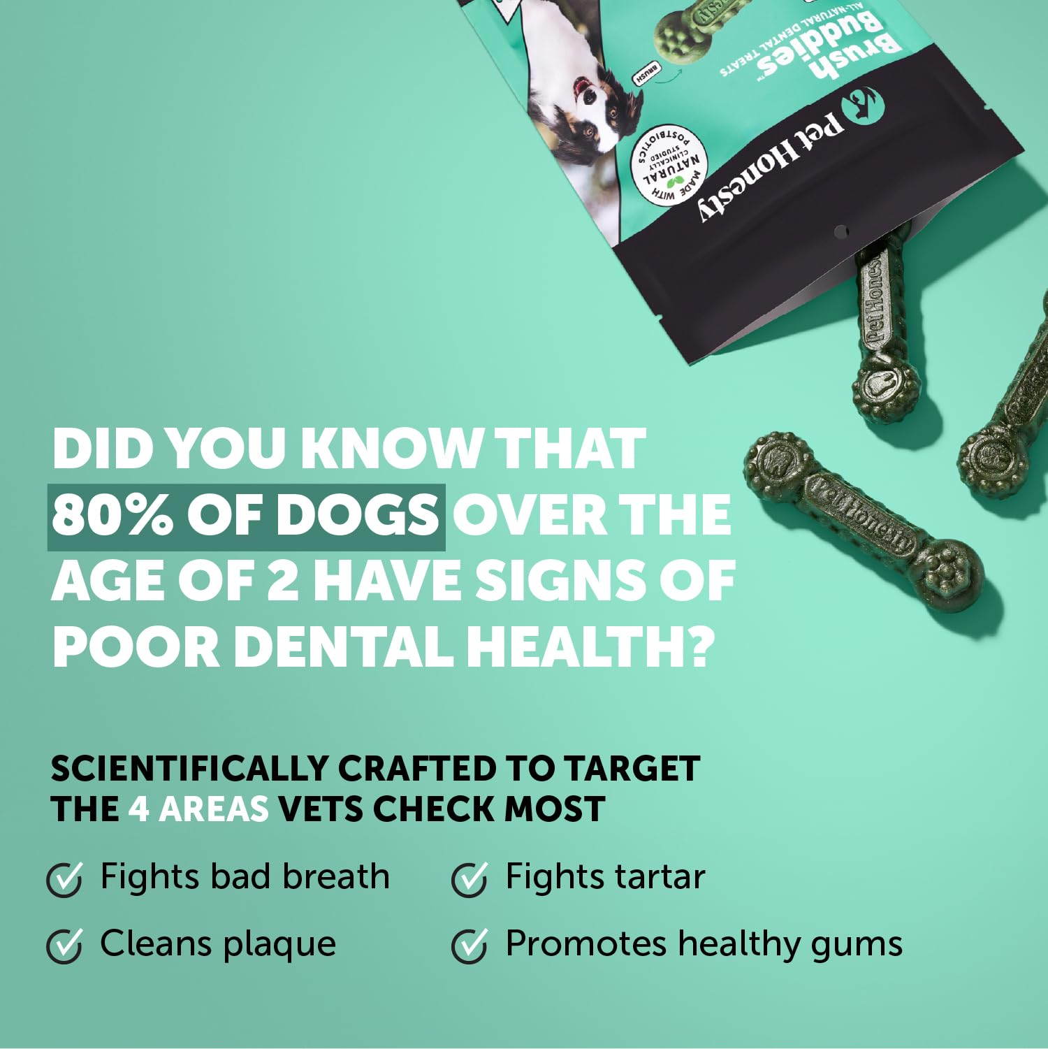 Pet Honesty detalle de textura del chew que demuestra acción limpiadora