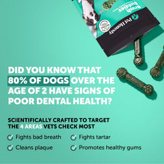 Pet Honesty detalle de textura del chew que demuestra acción limpiadora
