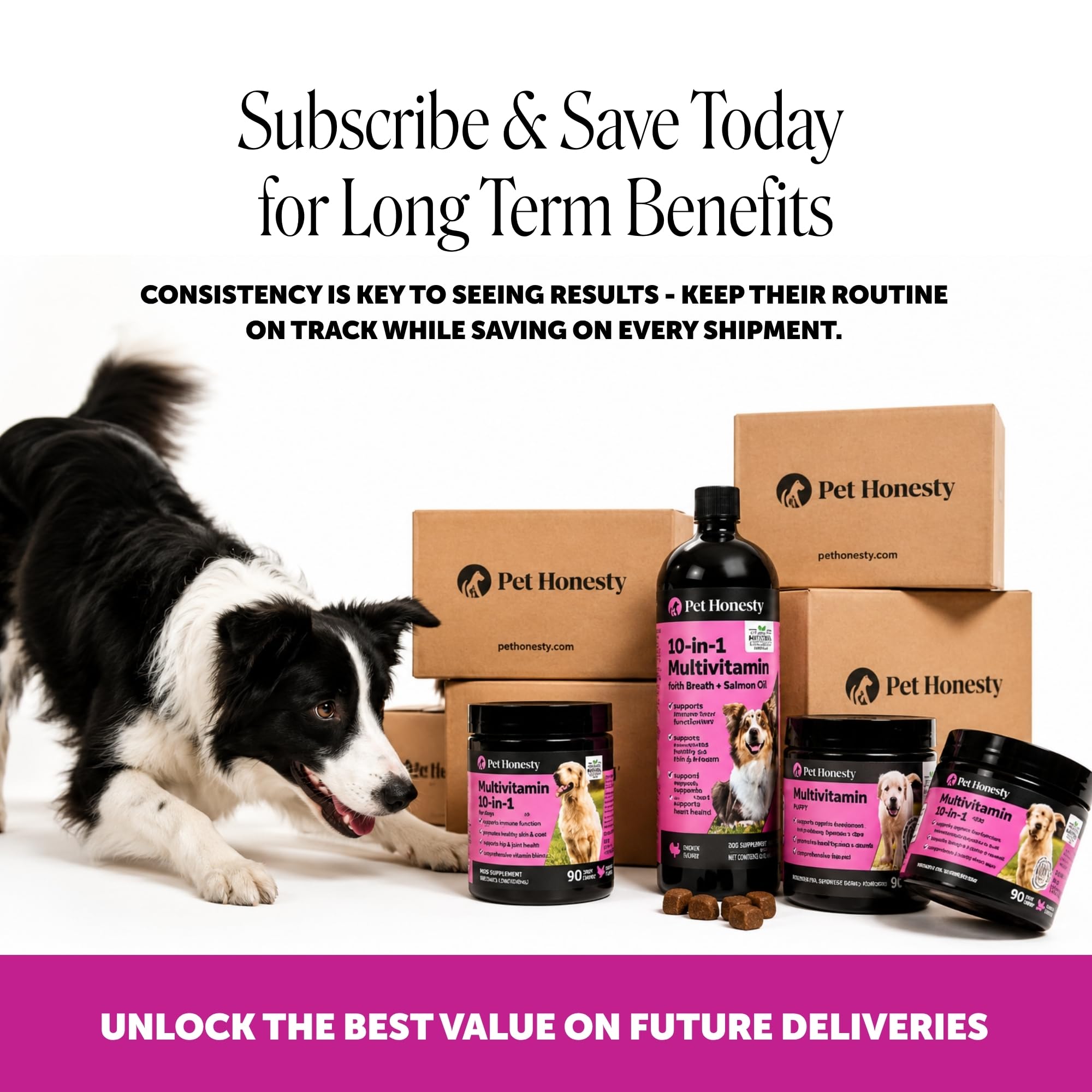 Pet Honesty acercamiento a ingredientes activos y probióticos