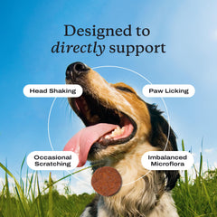 PetLab Co. masticable en mano para comparar tamaño y dosificación