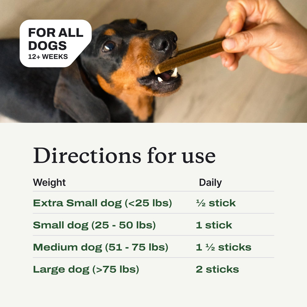 PetLab Co. perro masticando stick, soporte de higiene oral activo