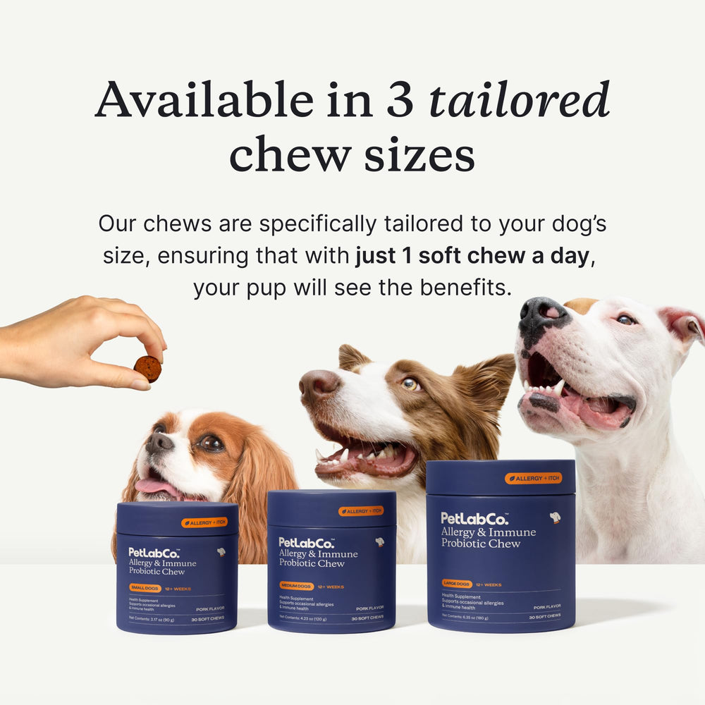 PetLab Co. perro mediano masticando un chew para soporte intestinal y calmación