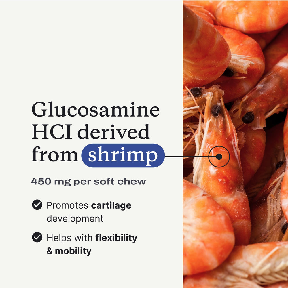 PetLab Co. frasco abierto con masticables listos para la dosis diaria