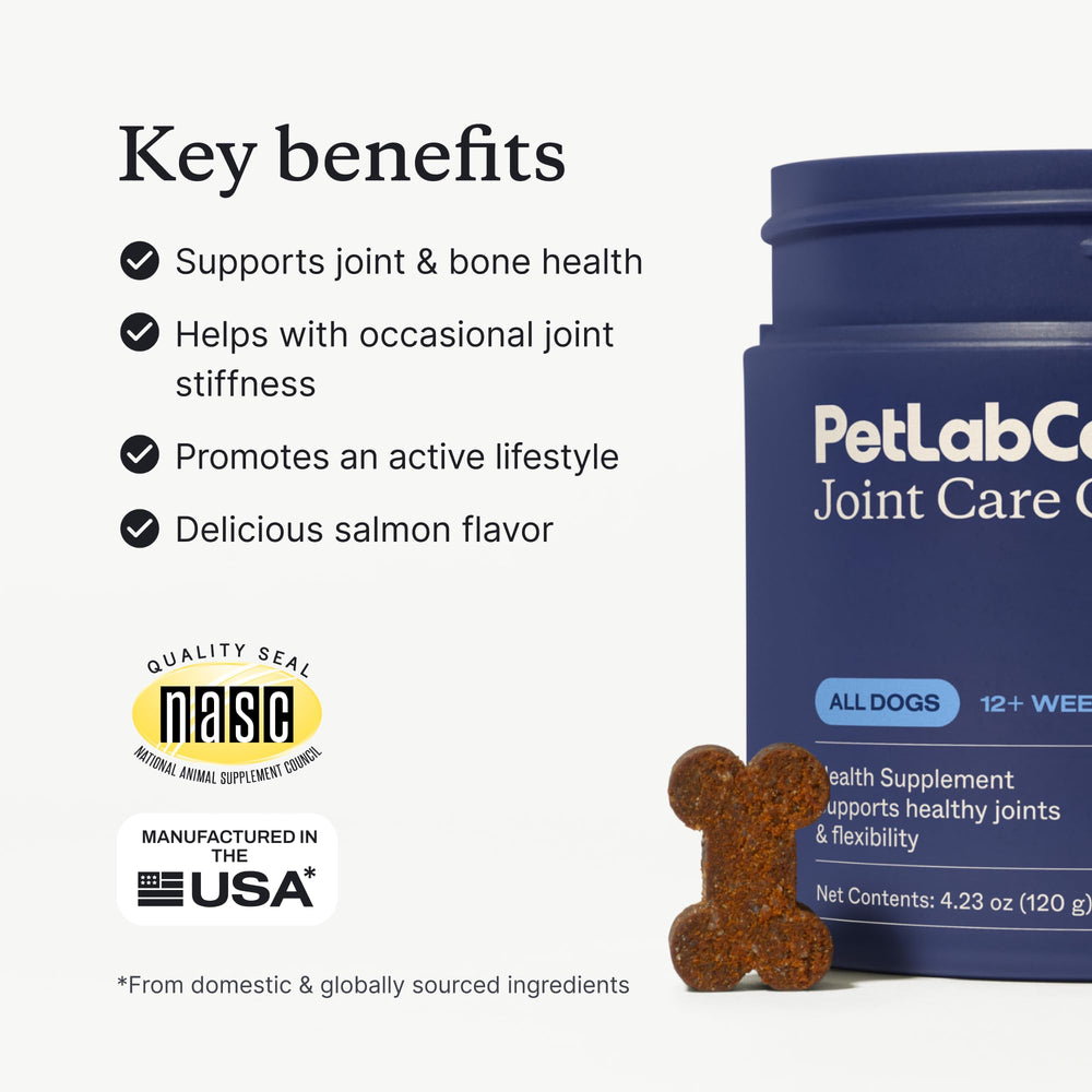 PetLab Co. masticable en mano para apreciar tamaño y suavidad