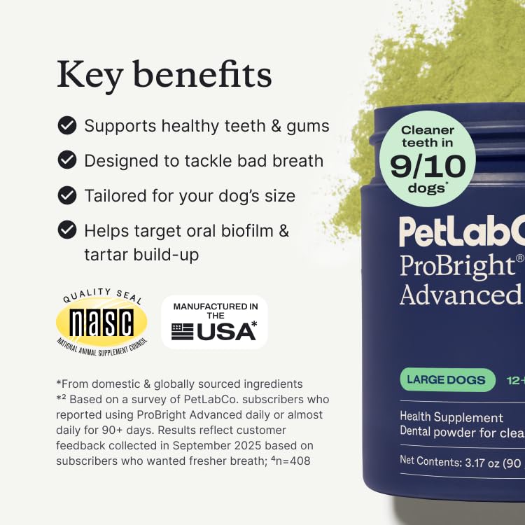 PetLab Co. ProBright textura del polvo en primer plano para fácil mezcla
