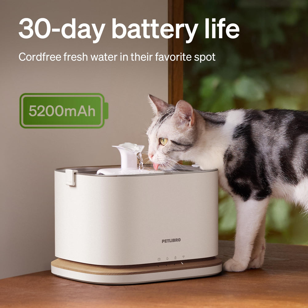 PETLIBRO Dockstream 2 tanque de 3 litros desmontable para rellenar