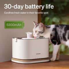 PETLIBRO Dockstream 2 tanque de 3 litros desmontable para rellenar