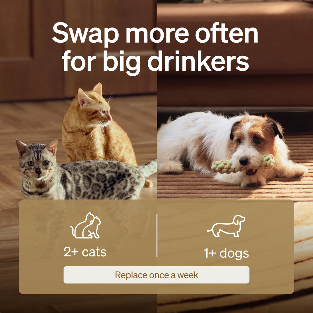 PETLIBRO filtros y esponjas empaquetados individualmente, higiene fácil