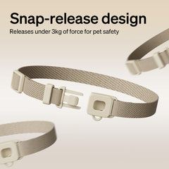 PETLIBRO collar RFID en gato usando comedero PLAF301 y fuente PLWF305