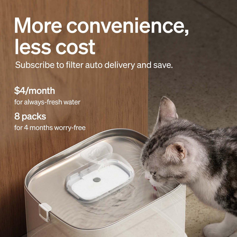 PETLIBRO filtro instalado en fuente para gatos, funcionamiento silencioso