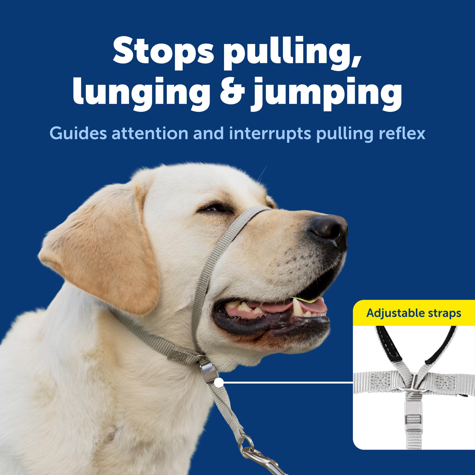 PetSafe cierre de cuello con clip rápido para poner y quitar fácilmente