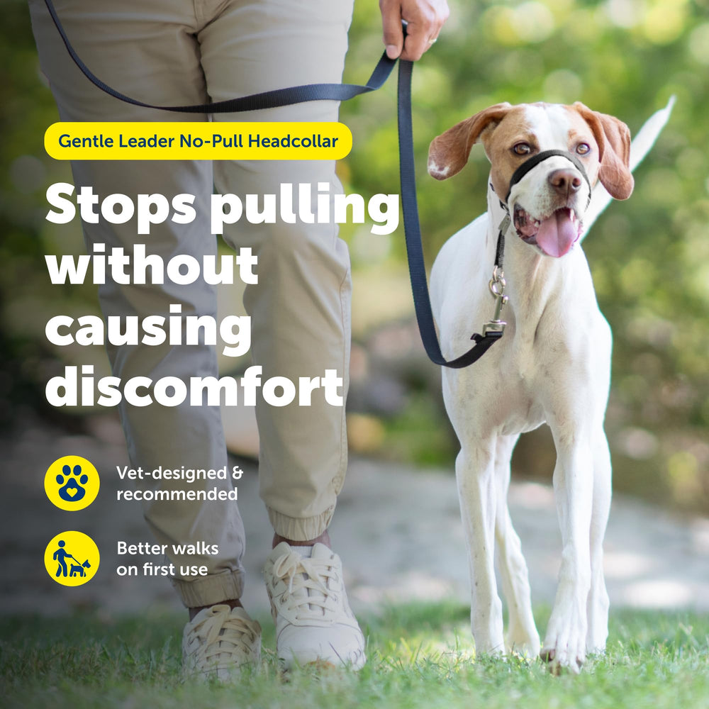 PetSafe detalle del neopreno nasal que protege y aporta confort