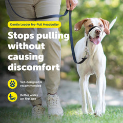 PetSafe detalle del neopreno nasal que protege y aporta confort