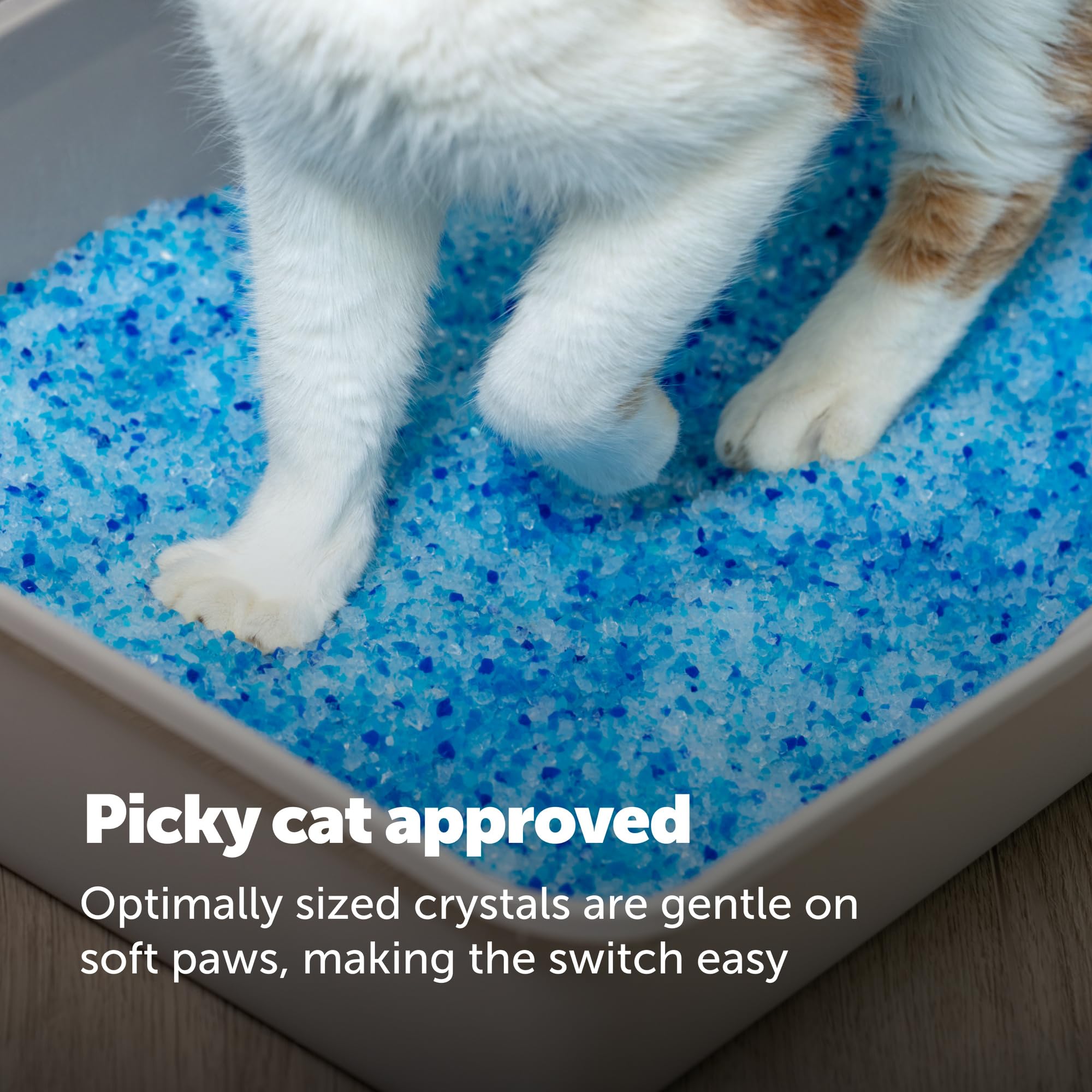 PetSafe compatible con ScoopFree demostración de instalación sencilla