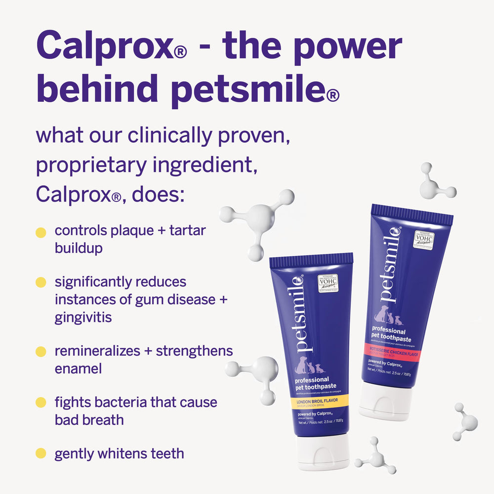 petsmile applied to cat teeth demonstration reducing brushing struggle