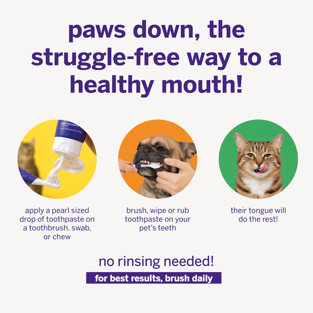 petsmile toothpaste applied to a treat for effortless dental care